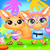 Twinchella Challenge