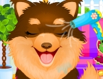 Play Free Adopted Puppy Spa Makeover