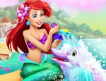 Play Free Ariel Dolphin Wash