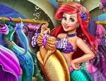 Play Free Ariel's Closet