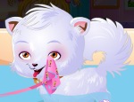 Play Free Baby Hazel Puppy Care