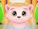 Play Free Baby Hedgehog Caring
