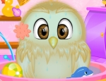 Play Free Baby Owl Care