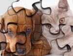Play Free Cats Vs Dogs Puzzle