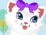 Play Free Cute Persian Kitty