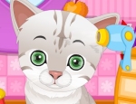 Play Free Cute Pet Salon