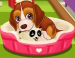 Play Free Cute Puppy Care 2