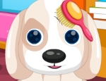 Play Free Cute Puppy Salon