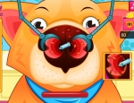 Play Free Doctor Pet Nose