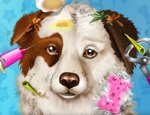 Play Free Dog Pet Rescue
