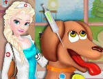 Play Free Elsa Animal Hospital