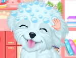Play Free Fluffy Puppy Pet Spa And Care