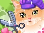 Play Free Groom That Kitty!