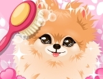 Play Free Groom That Puppy!