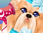 Play Free Groom That Puppy 2