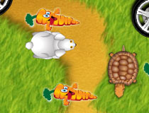 Play Free Hare and Tortoise