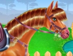 Play Free Horse Care and Riding