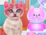 Play Free Kitty Dental Caring