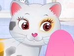 Play Free Kitty Grooming Salon 2