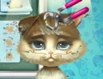 Play Free Kitty Rescue Vet