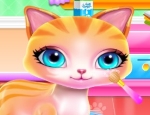 Play Free Kitty's Fashionista Day