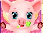 Play Free My Pet Doctor: Baby Piggy