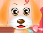 Play Free My Pet Doctor Puppy Care