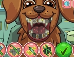 Play Free Pet Crazy Dentist