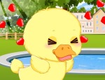 Play Free Pet Stars: Cute Duckling