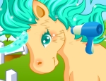 Play Free Pony Care 3