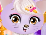 Play Free Princess Pet Caring