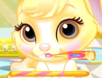 Play Free Princess Pet Salon