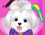 Play Free Puppy Beauty Salon