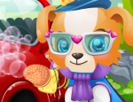 Play Free Puppy Car Wash