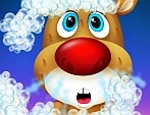 Play Free Rusty in Pet Spa Salon