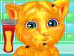 Play Free Talking Ginger Shaving