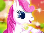 Play Free The Cute Pony Care
