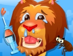 Play Free Zoo Doctor Time